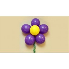 Air Balloons Door Delivery